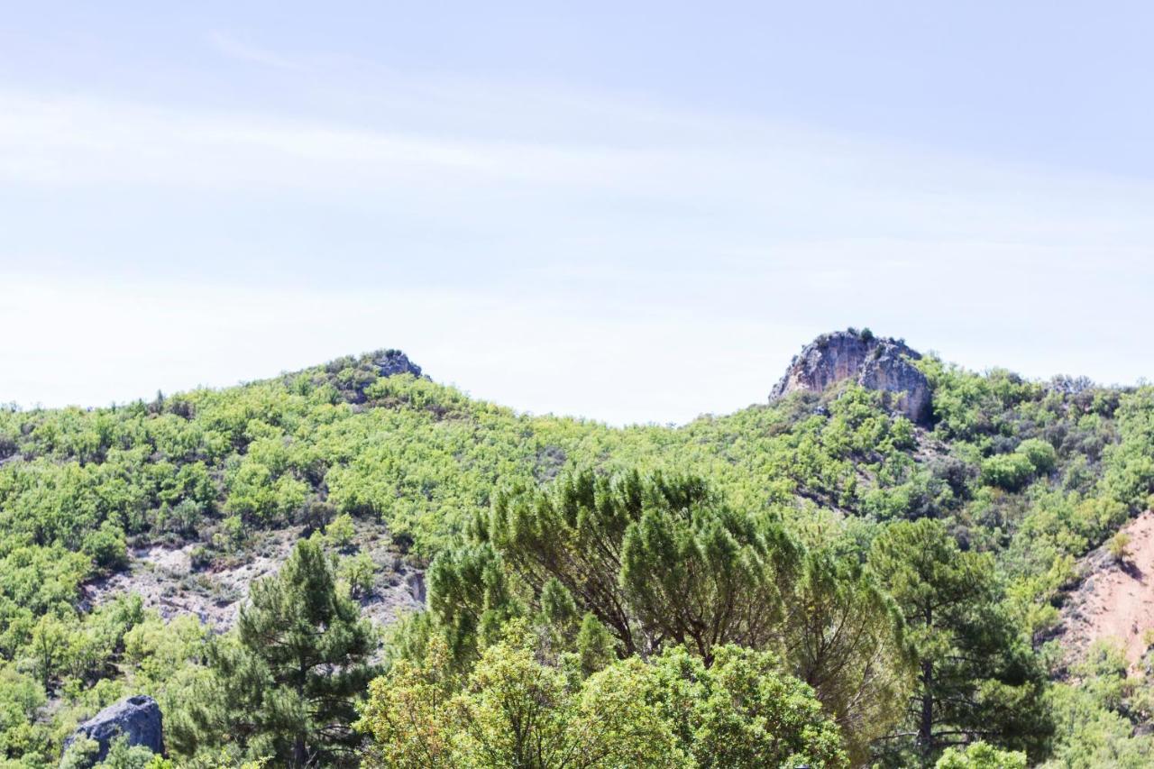 Apartamentos Rurales El Colvillo トリヨ エクステリア 写真